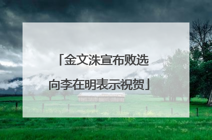 金文洙宣布败选 向李在明表示祝贺